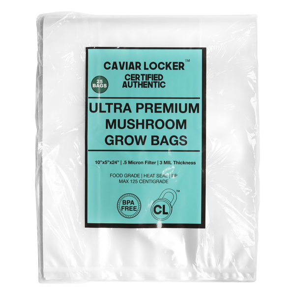 dragon chewer mushroom grow bags filter injection wholesale bulk baggies