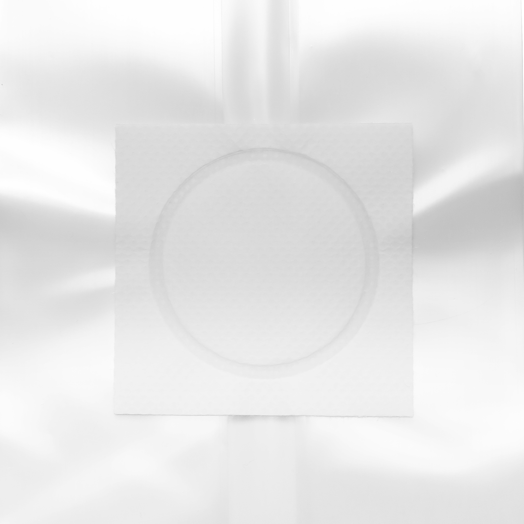 Mushroom Grow Bags - Autoclave Compatible .2 Micron Filter 4x3x18 - (25 qty.) - Dragon Chewer